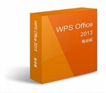 金山WPS Office 2013 专业版终生授权