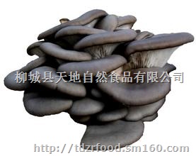 脱水平菇