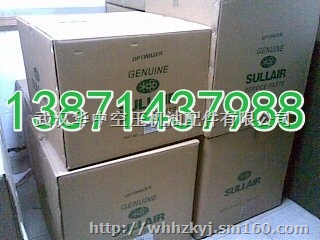 美国寿力空压机油SULLUBE87250022-6