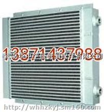 24KT02250051-153 美国寿力润滑液