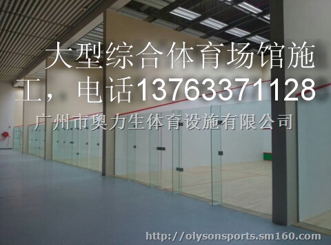 yn壁球馆工程壁球室工程  11