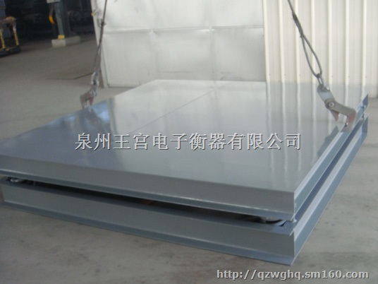 电子地上衡