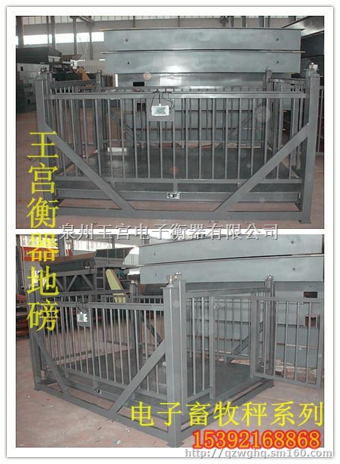 福建厂家值供电子畜牧秤