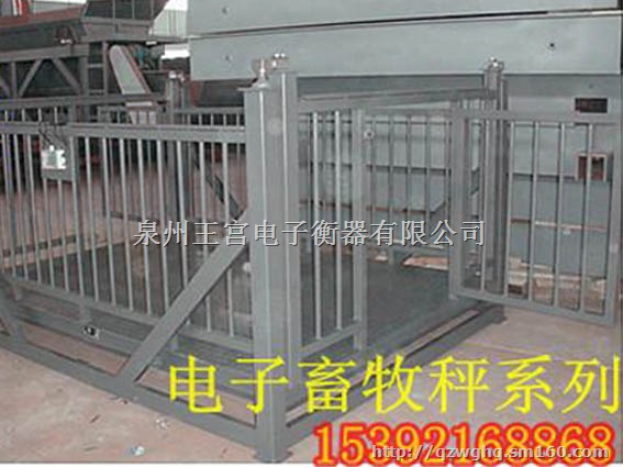 福建厂家值供电子畜牧秤