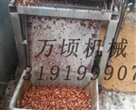 骏枣切片机