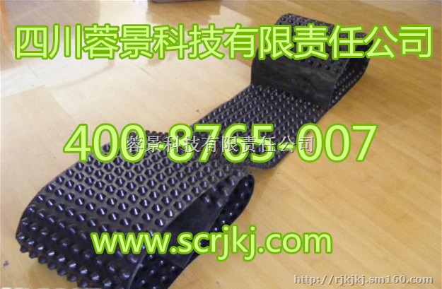 低价HDPE复合排水板