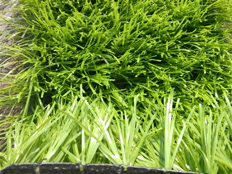 人造草,足球建设公司,人造草厂家,人造草坪,人造草