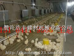 鸡舍自控锅炉新型   鸡舍水暖锅炉