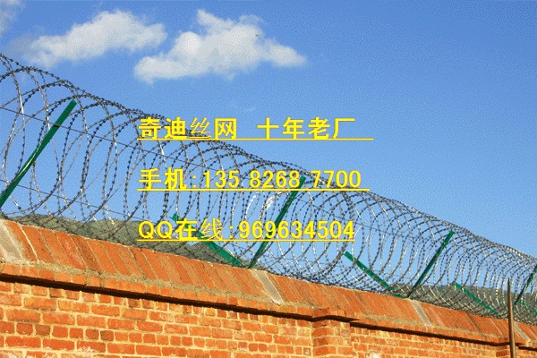 新疆不锈钢刀片刺网生产厂家圈直径500现货