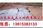 2015供应藕池防渗膜//13615383133-
