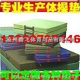 舞蹈练功垫子 加厚折叠健身体操垫儿童爬行仰卧起坐垫