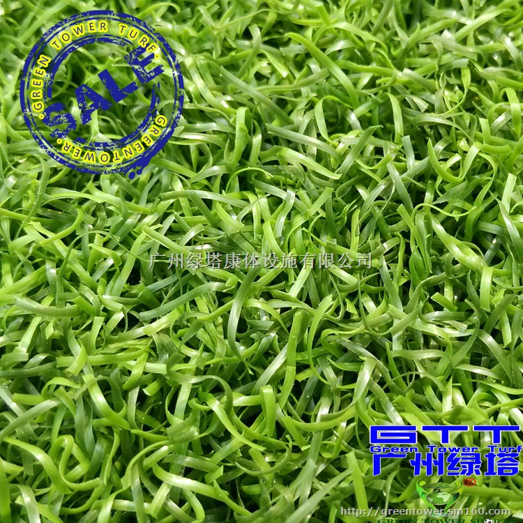 人造草坪LTMQPPE25