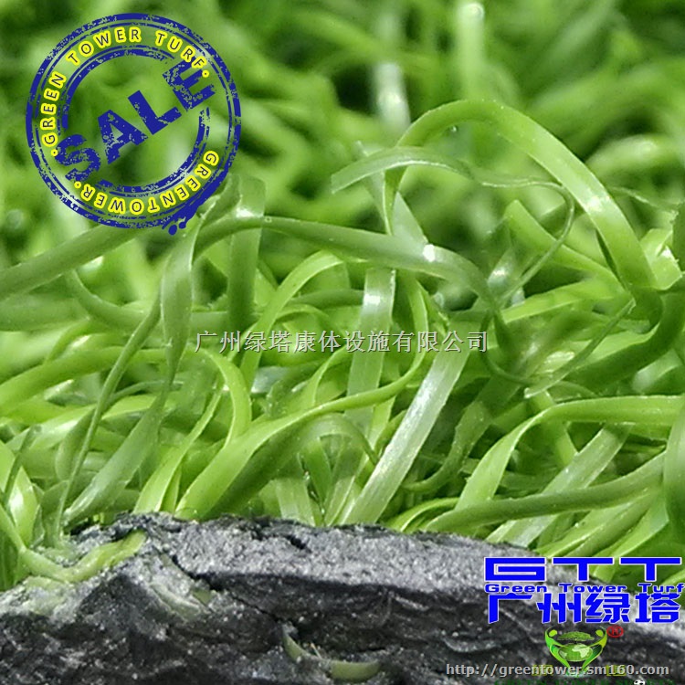 人造草坪LTMQPPE25