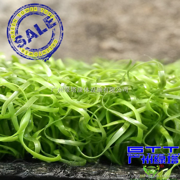 人造草坪LTMQPPE25