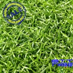 人造草坪LTMQPPE25