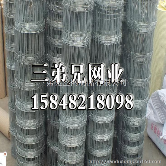 包头牛栏网厂 供应优质热镀锌钢丝草原防护牛栏网