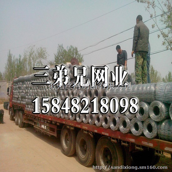 包头牛栏网厂 供应优质热镀锌钢丝草原防护牛栏网