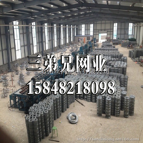 东胜加工草原网 养殖网 牛栏网 圈羊网等畜牧业围网