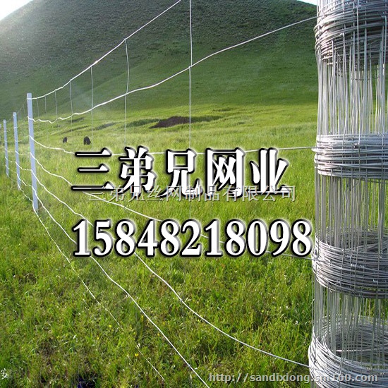 东胜加工草原网 养殖网 牛栏网 圈羊网等畜牧业围网