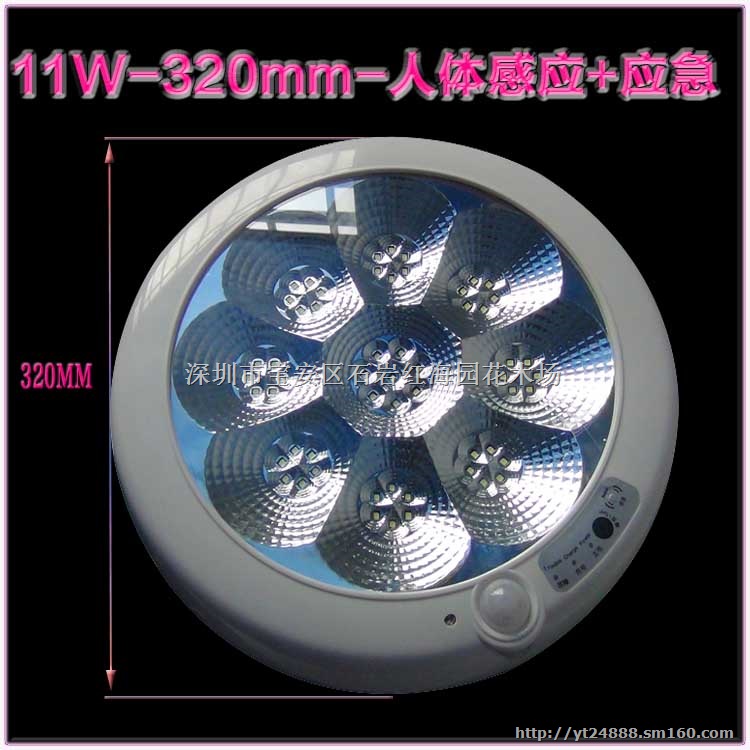 LED人体感应吸顶灯批发 感应灯11W 节能 应急