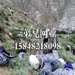 东胜自然灾害边坡防护网厂价 被动边坡防护 钢丝绳网