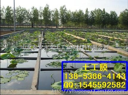 抗根刺穿刺土工膜HDPE土工膜 防渗膜