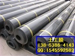 抗根刺穿刺土工膜HDPE土工膜 防渗膜