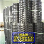 绿泰全国*优质环保排水板13853864143