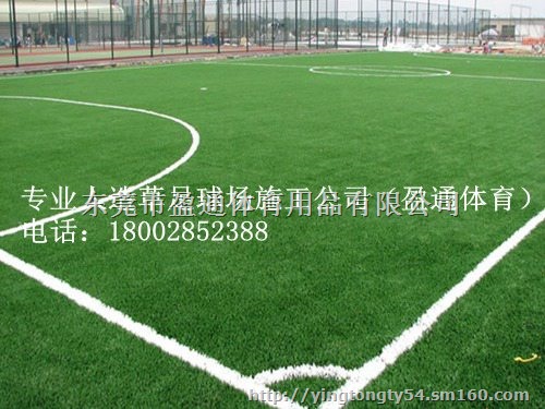 昌江、白沙、琼中足球场地坪施工建设方案人工草坪价格