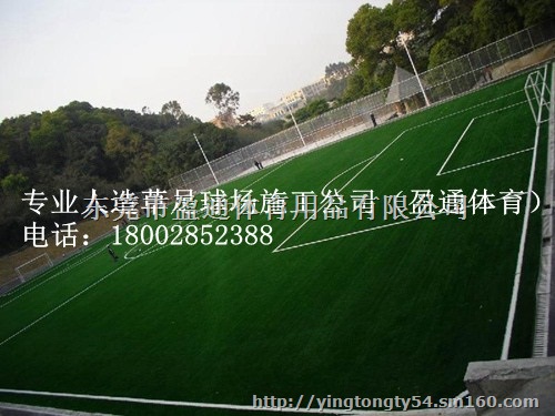 昌江、白沙、琼中足球场地坪施工建设方案人工草坪价格