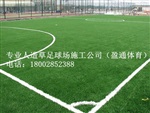 昌江、白沙、琼中足球场地坪施工建设方案人工草坪价格