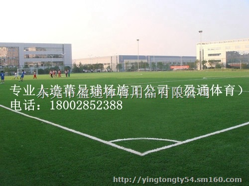 井冈山市、萍乡、新余足球场地坪施工建设方案人工草坪