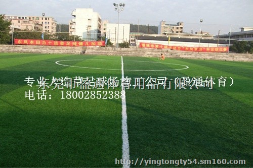 井冈山市、萍乡、新余足球场地坪施工建设方案人工草坪