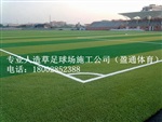 井冈山市、萍乡、新余足球场地坪施工建设方案人工草坪