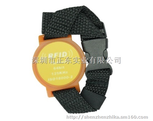 Smartrac电子标签，全系列inlay，手腕带