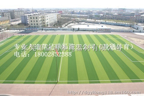 眉山 甘孜 凉山足球场人工草运动地坪施工批发