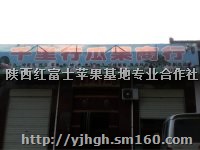突围毛桃价格陕西毛桃基地桃子产地桃子价格