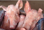 供应西班牙15289冷冻猪头冷冻猪蹄冷冻猪肚