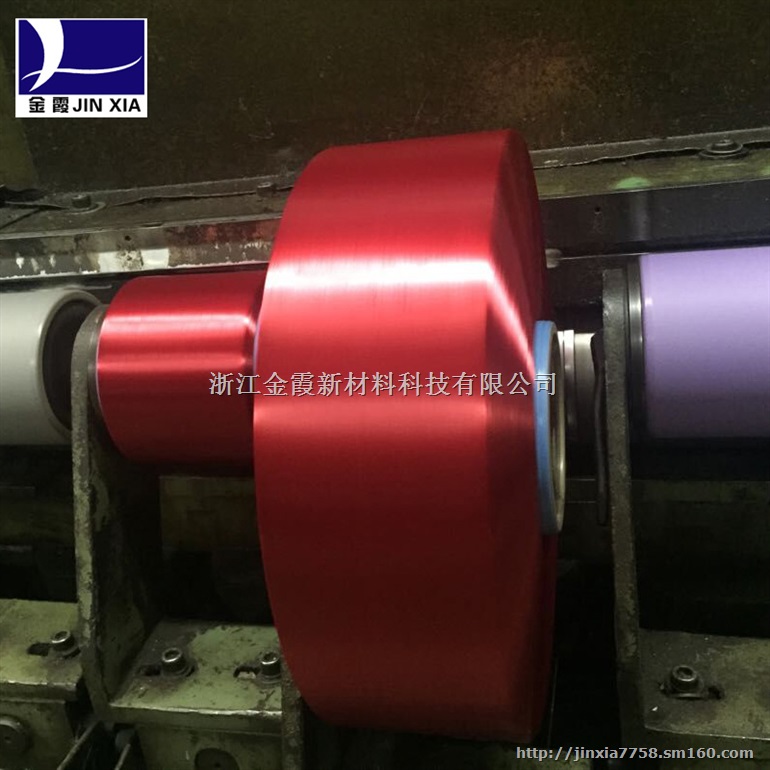 600D仿尼龙色丝 织带色丝