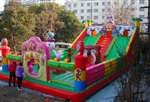 辽宁充气大滑梯，城堡，儿童小飞鱼，机器人蹬车价格