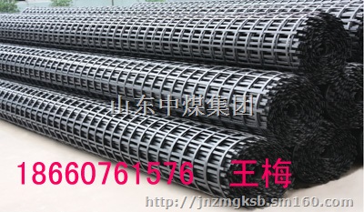 双向塑料土工格栅,塑料土工格栅厂家,双向塑料土工格