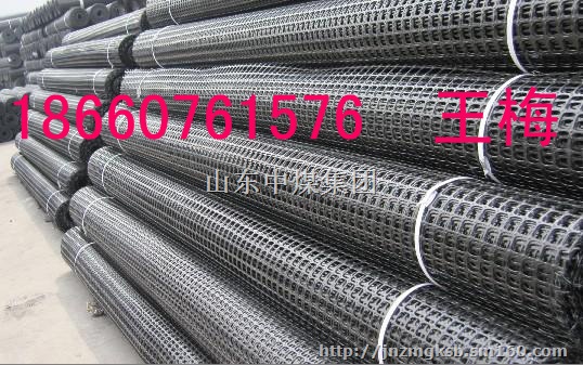 双向塑料土工格栅,塑料土工格栅厂家,双向塑料土工格