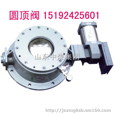 圆顶阀,球型气锁阀,球型进料阀,圆顶阀密封圈