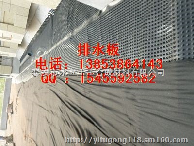 楼顶花园屋顶绿化专用排水板 规格齐全