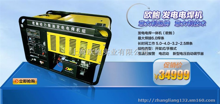OB300A-CY内燃发电电焊两用机