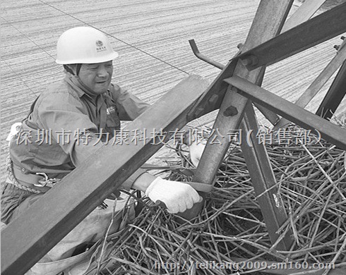 不锈钢驱鸟刺行业*