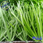 单丝人造草坪 双面带筋人工草