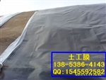 供应四川垃圾填埋专用2.0土工膜