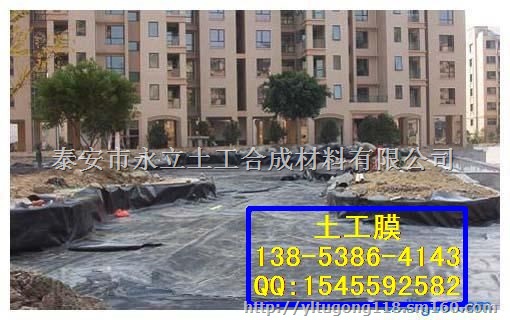 绥化土工膜 防渗土工膜 型号齐全