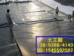 绥化土工膜 防渗土工膜 型号齐全